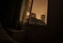 cloudpulse media link building